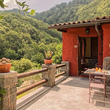 Agriturismo Pera Di Basso Casamicciola Terme Exterior foto