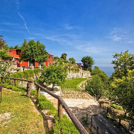 Agriturismo Pera Di Basso Ischia Exterior foto