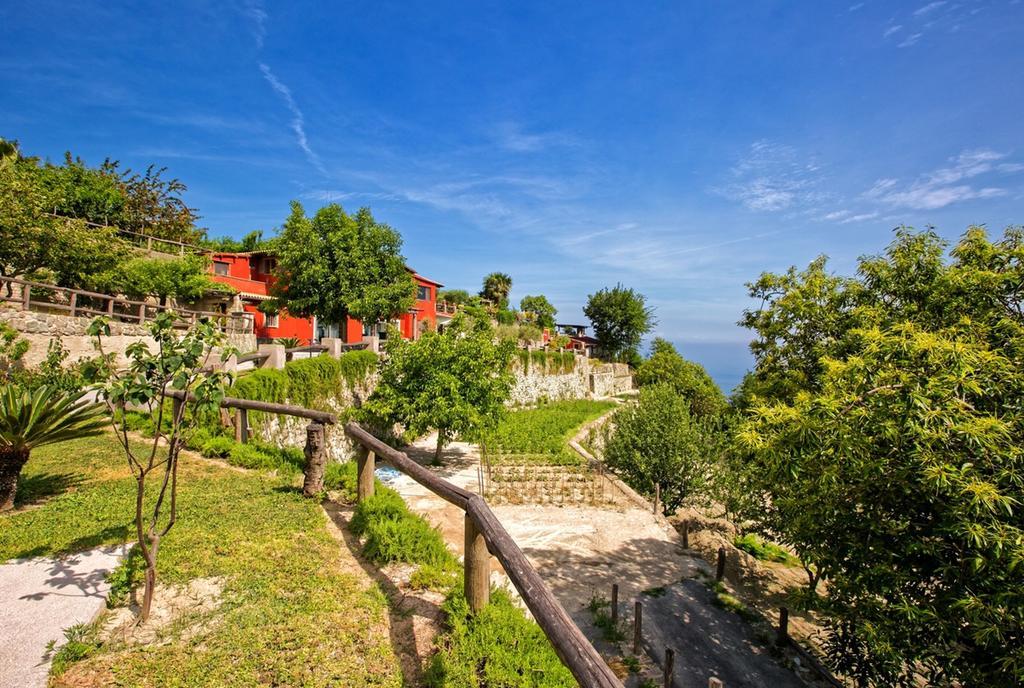 Agriturismo Pera Di Basso Casamicciola Terme Exterior foto