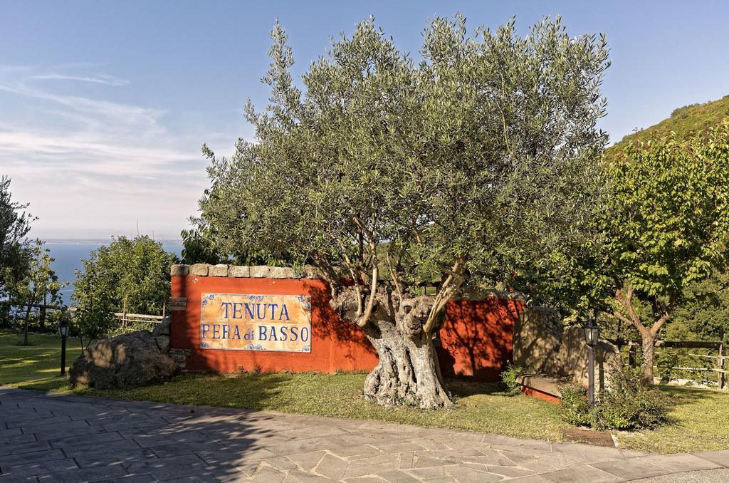 Agriturismo Pera Di Basso Casamicciola Terme Exterior foto