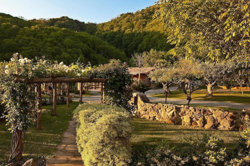 Agriturismo Pera Di Basso Casamicciola Terme Exterior foto