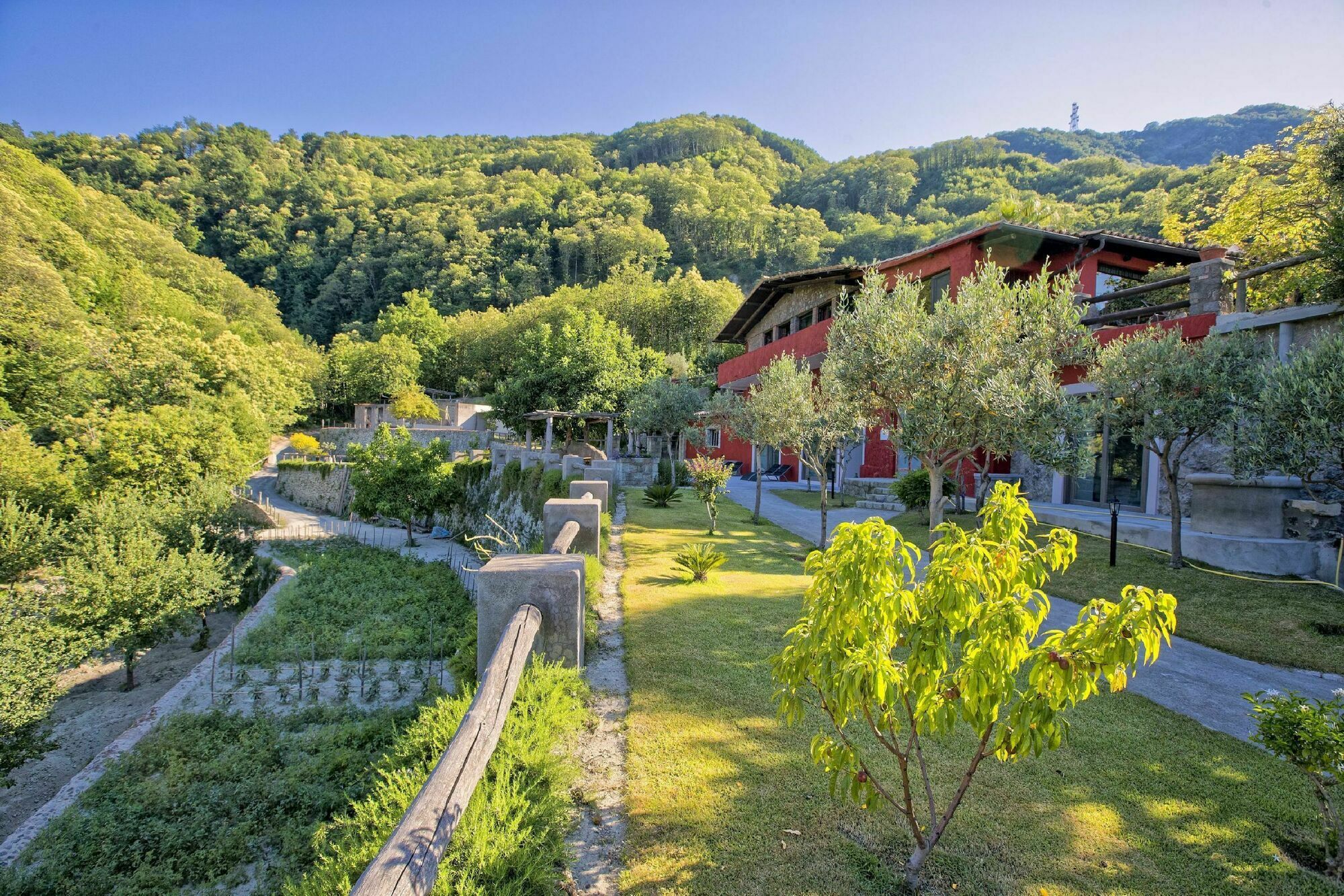 Agriturismo Pera Di Basso Casamicciola Terme Exterior foto