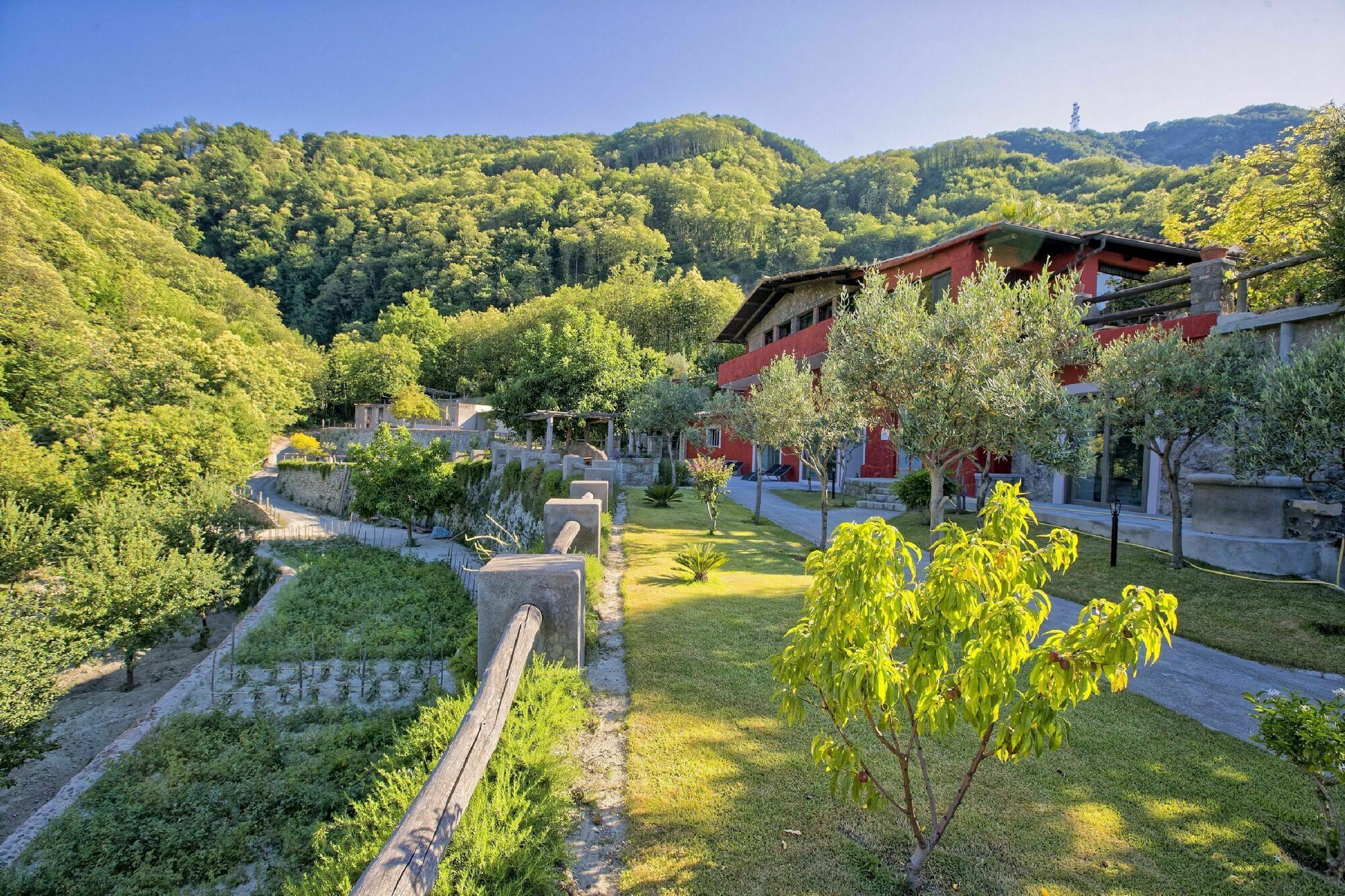 Agriturismo Pera Di Basso Ischia Exterior foto